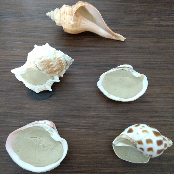 *Wedding/Party Decor* - Picture 3 of 4